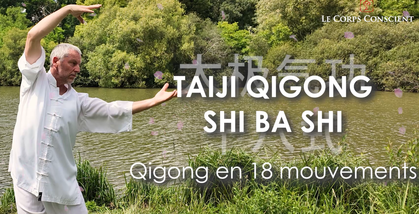 Vid&eacute;o Taiji Qigong shi ba shi