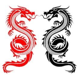 Ateliers de Qigong : mobilité articulaire et ondulation du dos – Daoyin des 4 dragons